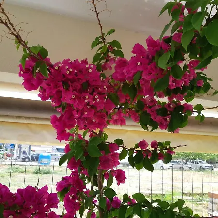 Appartement Evaggelia Design *