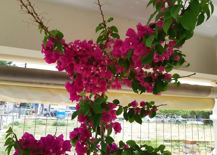 Apartment Evaggelia Design *